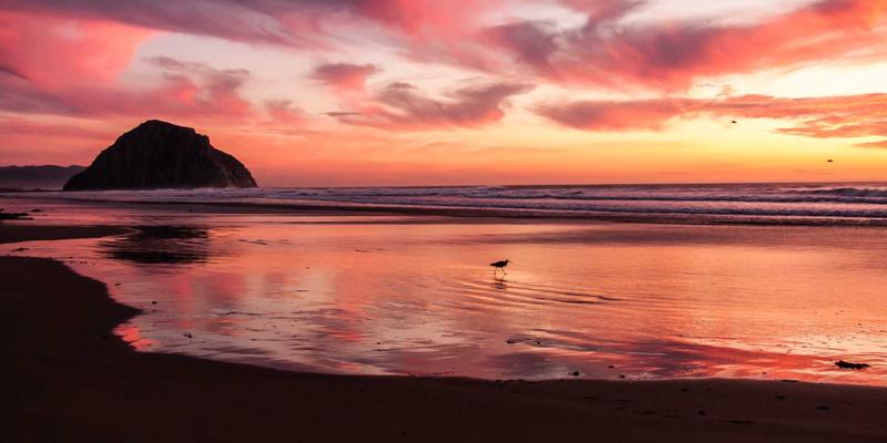 从sFlow到gNMI：实战构建网络遥测平台，开启智能运维新纪元