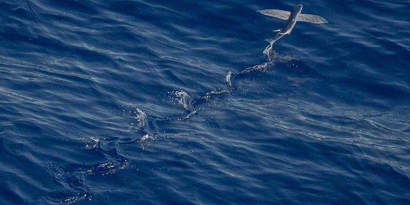 数字孪生:在虚拟沙盘中预演网络攻防,投产前消除架构与安全盲区