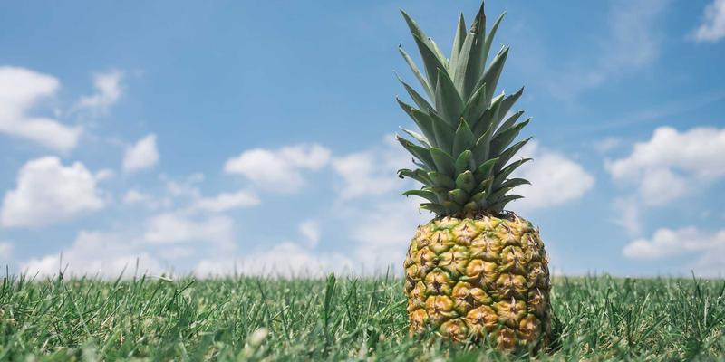 破解NFV性能困局：后端开发者的电信云优化实战指南